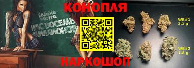 молекула духа Лесосибирск