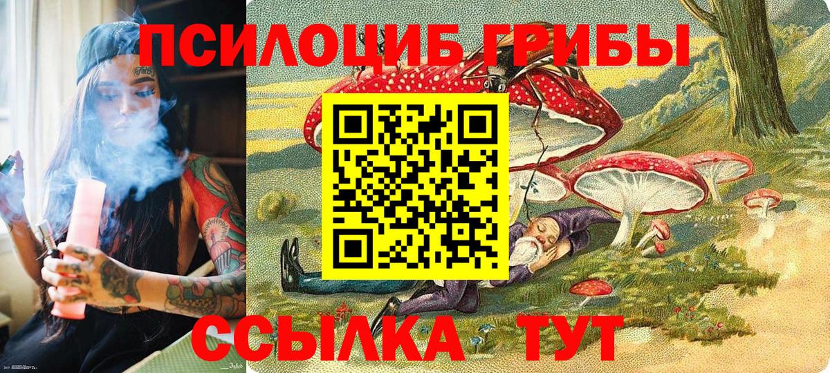 Псилоцибиновые грибы MAGIC MUSHROOMS Азов
