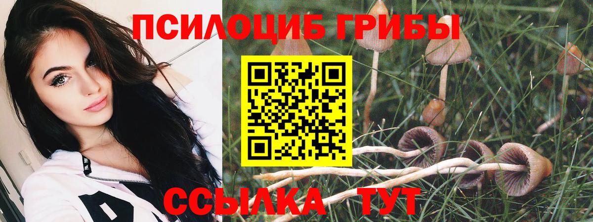 Азов  Галлюциногенные грибы MAGIC MUSHROOMS  Вход с VPN 